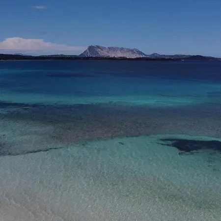 Rosa La Cinta - Vista Mare San Teodoro Casa vacanze *
