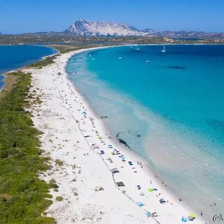 Rosa La Cinta - Vista Mare San Teodoro